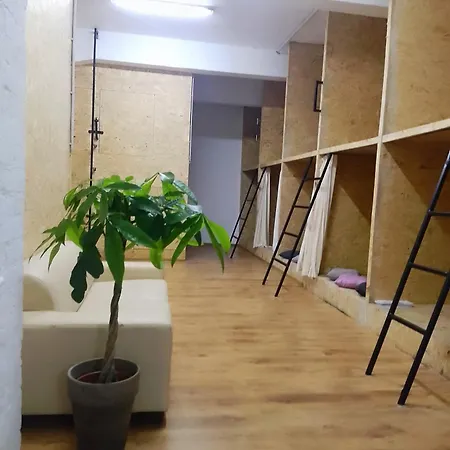 Budget Trainstation - Fox Box *