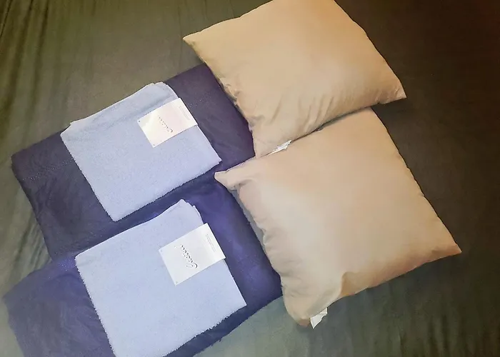 Hotel Budget Trainstation - Fox Box Dresde