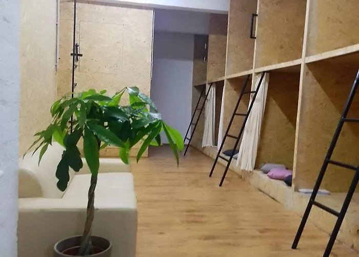 Budget Trainstation - Fox Box *